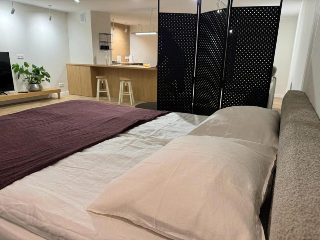 Apartament Ovoc 1.0 Chodzież 外观 照片