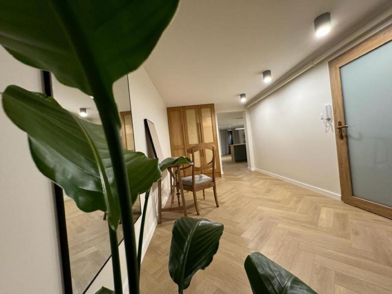 Apartament Ovoc 1.0 Chodzież 外观 照片